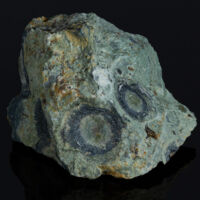 kambaba jáspis, stromatolit