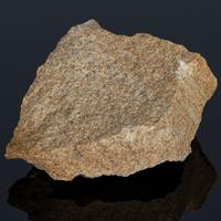 suevit