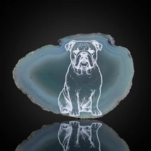 angol bulldog hűtőmágnes