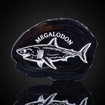 megalodon hűtőmágnes