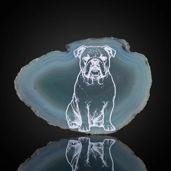 angol bulldog hűtőmágnes