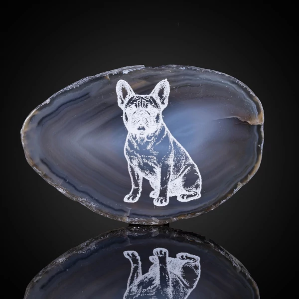 francia bulldog hűtőmágnes