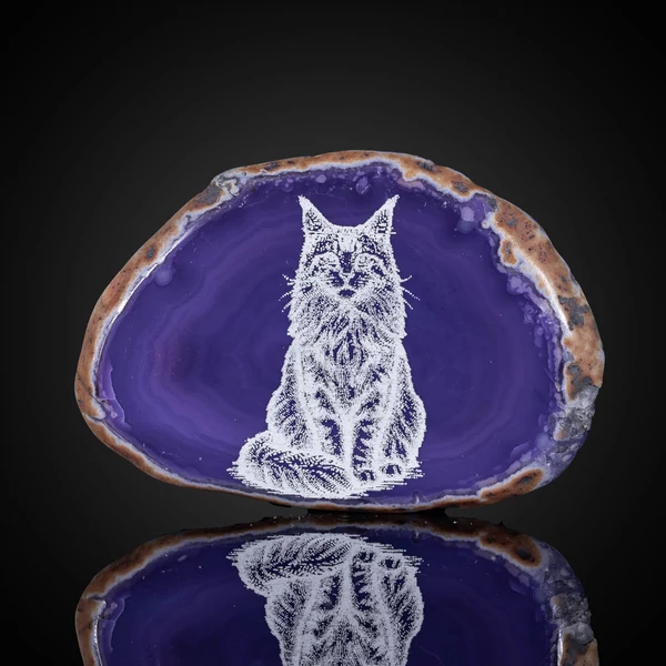 main coon cica hűtőmágnes