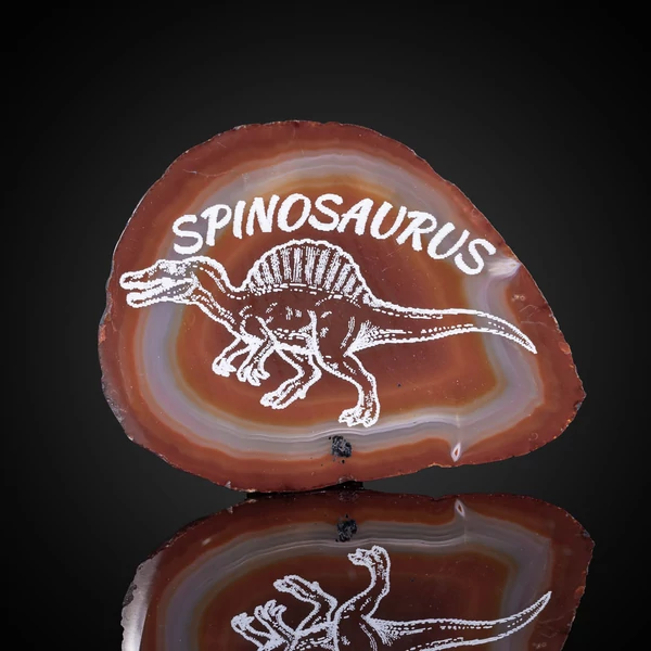 spinosaurus hűtőmágnes