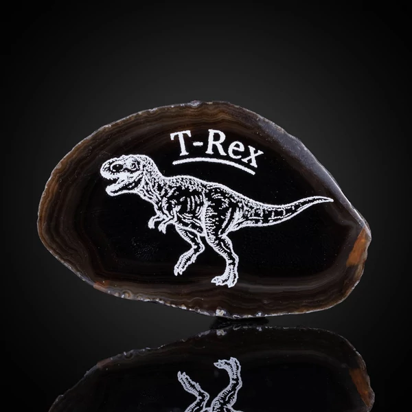 t-rex hűtőmágnes